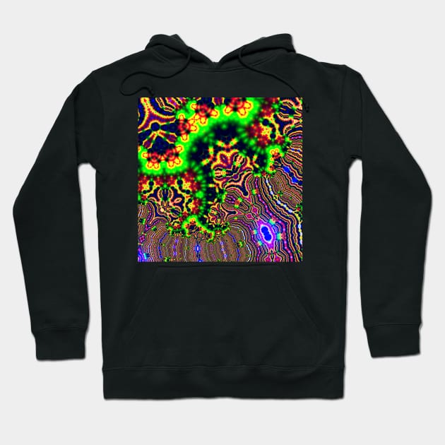 Fractal 203 Hoodie by chrissturgessart